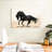 Black Stallion-107670677