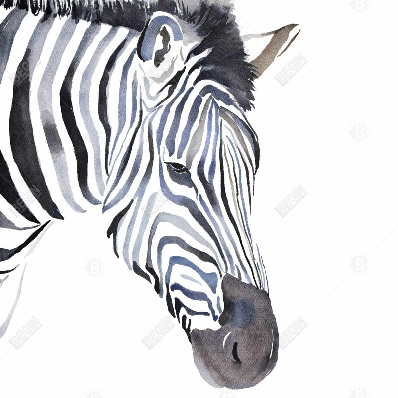 " Zebra ", 24" H x 24" W