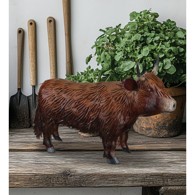 Vache Highland 10 po