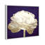 Violet violet, fleur de luxe - impression-72525456-72525457