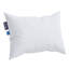 Oreiller en duvet nuage canadien -100721497
