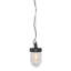 Ginder 1 - Light Black Jar Pendant