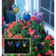 Piquet de jardin