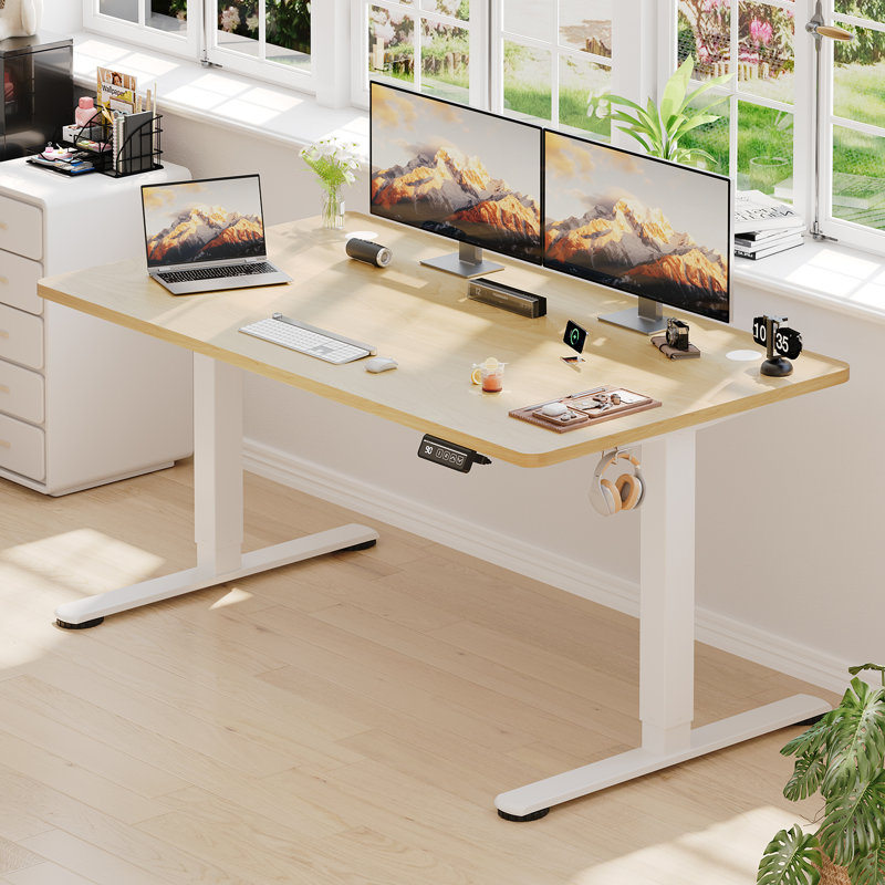 Mallus 120CM x 60CM Electric Height Adjustable Standing Desk, Black, 100cm. W x 60cm. D