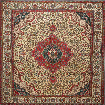 Oriental Indoor Rug