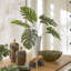 Centre de table Uttermost Muse Monstera