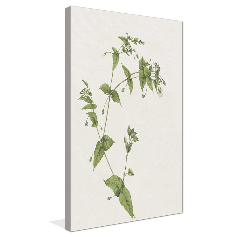 «Wispy Botanical I» par Kelly Donovan, impression sur toile tendue, L 18 po x H 30 po, Toile tendue