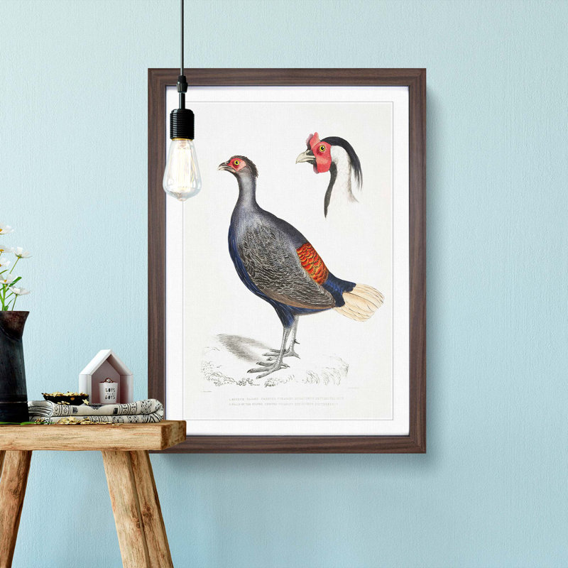 Crested Pheasant Illustration by John Edward Gray - Picture Frame Painting Print, 65cm H x 48cm W x 2cm D, Walnut Framed