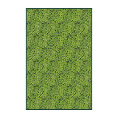 Vert Tapis décoratif