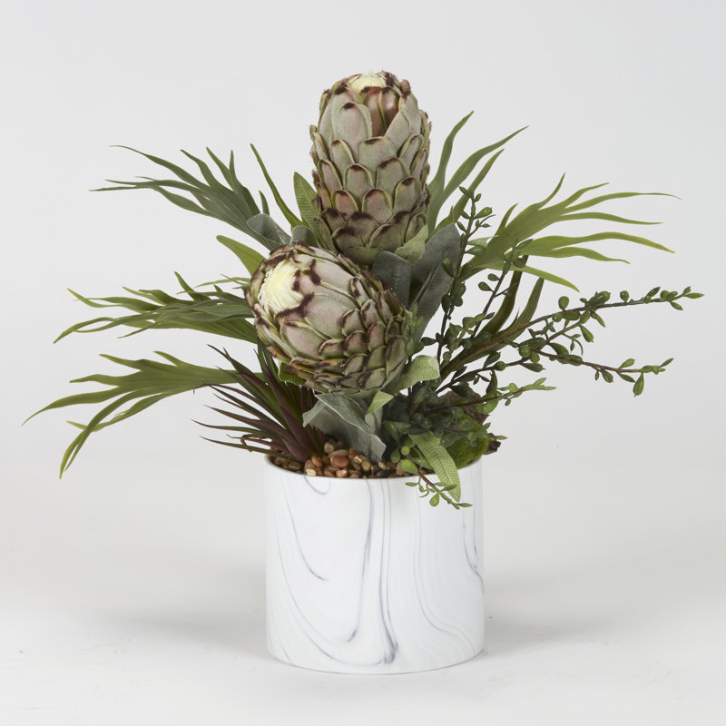 Magnifique vison Protea en pot