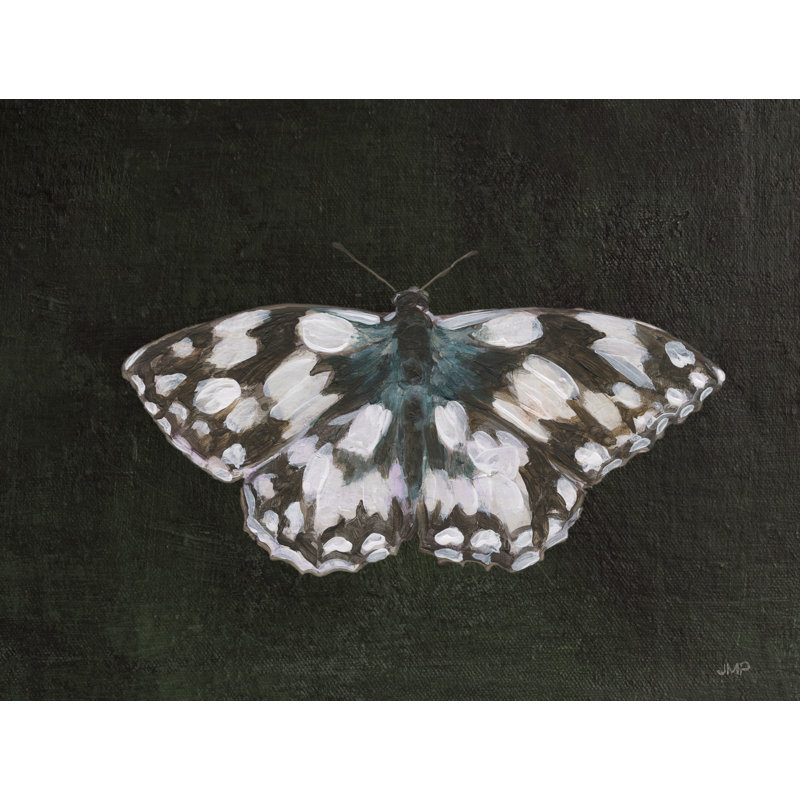 Garden Beauties IV Black par Julia Purinton, H 12 po x l 16 po