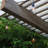 Abshire Outdoor 15 - Bulb 48'' Plug-in Globe String Light