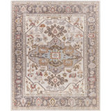 Oriental Indoor / Outdoor Rug