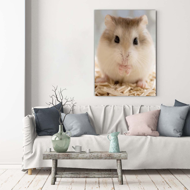 Hamster - Wrapped Canvas Print