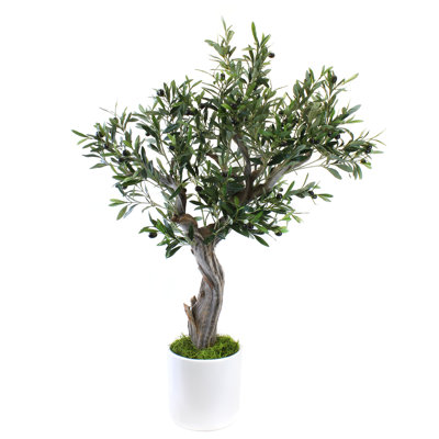 44'' Olive Tree Tree in Ceramic Pot