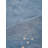 Anley Hand Knotted Loom Wool Eco-Friendly Area Rugs - Rectangle | Blue | Contemporary Design | Area Rugs for Living room, Bedroom-254706450-230424337