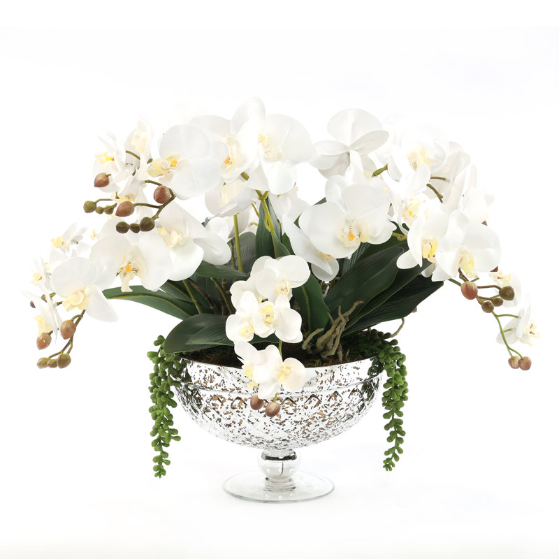 Elegant White Orchid Centerpiece in Antique Silver Glass Vase