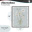 «Spring Clippings Daisies», giclée encadrée, design par Leslie Hermosa-1851072307-1851072305