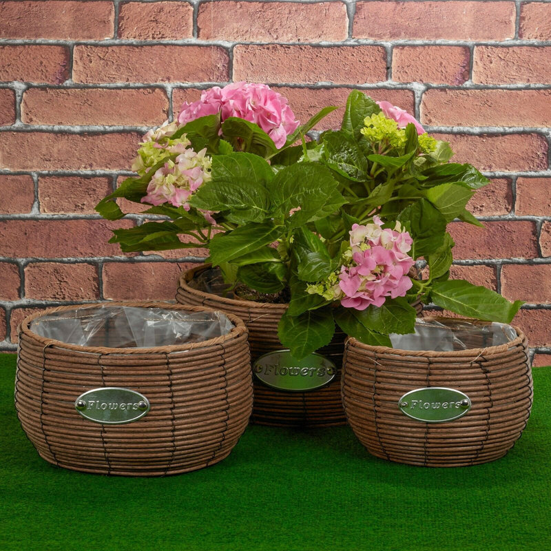 Dupo Pot Planter, Brown