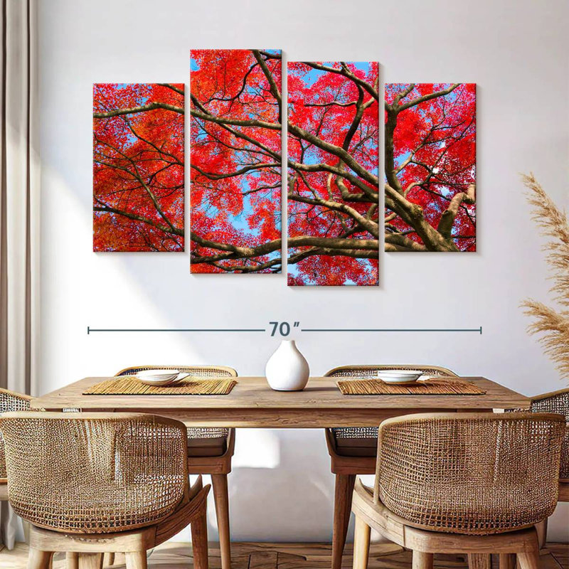 Harnek Japanese Maple Red Canopy, 42'' H x 68'' W
