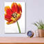 «Orange Poppy Opened Today» par Pamela Plummer-897519893