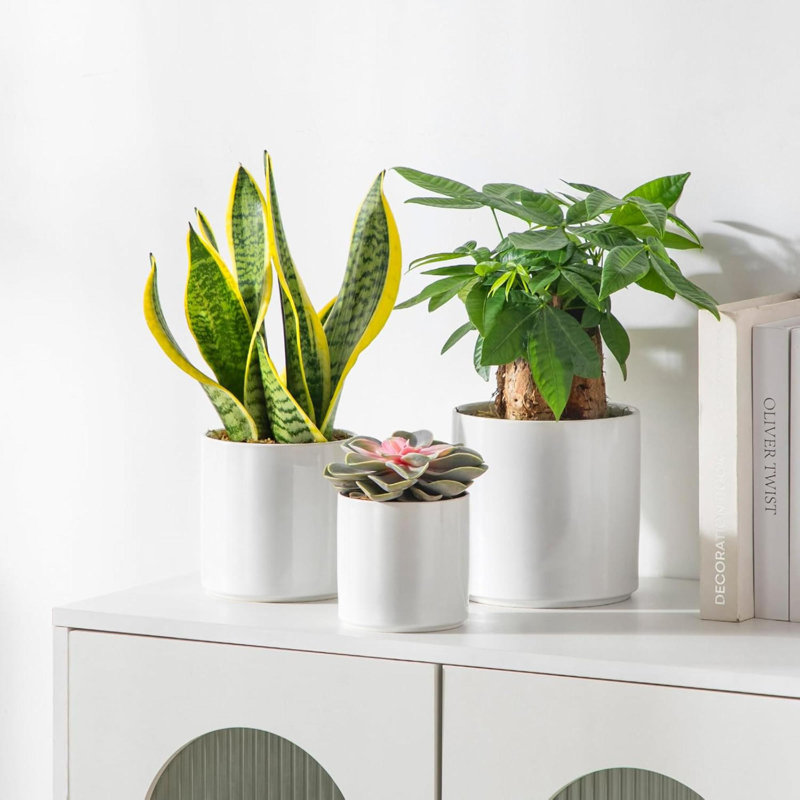 Ensemble de 3 pots à fleurs en céramique avec trou de drainage pour pots de fleurs pour plantes d'intérieur et d'extérieur