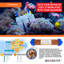 Water Treatment System for Aquarium and Hydroponics 6 Stage 100 GPD (Gallon Per Day) Pure Water