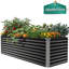 Raised Garden Bed-388223197