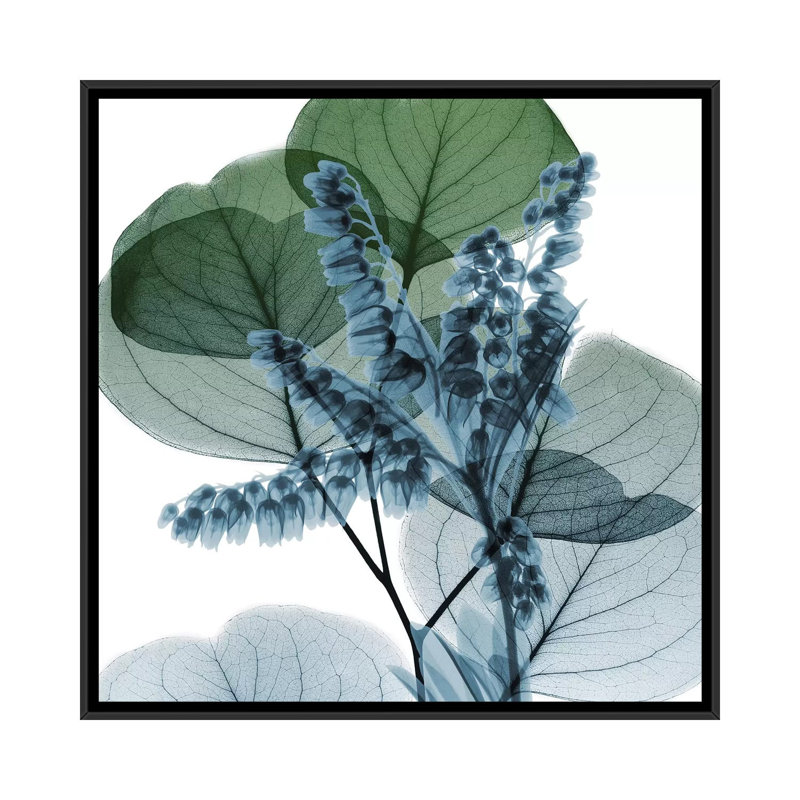 «Lilly of Eucalyptus II» par Albert Koetsier, reproduction sur toile tendue sur châssis, H 37 po x l 37 po x P 1,5 po
