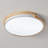 Acrylic LED Flush Mount-1520321321