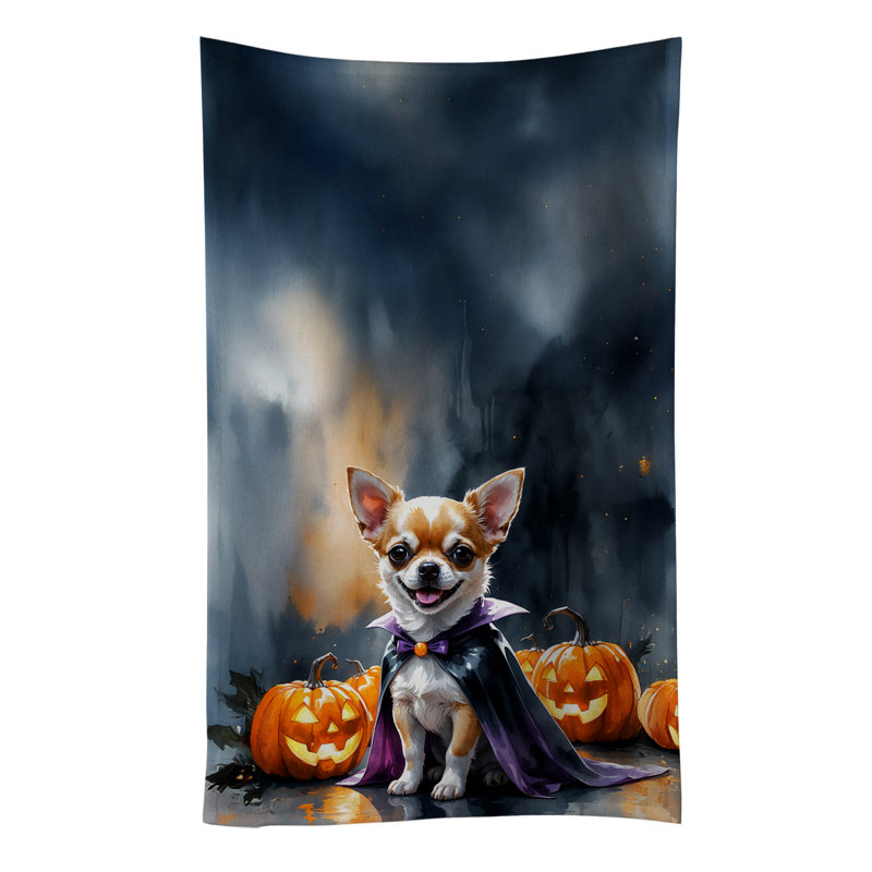 Torchon Chihuahua, Chihuahua
