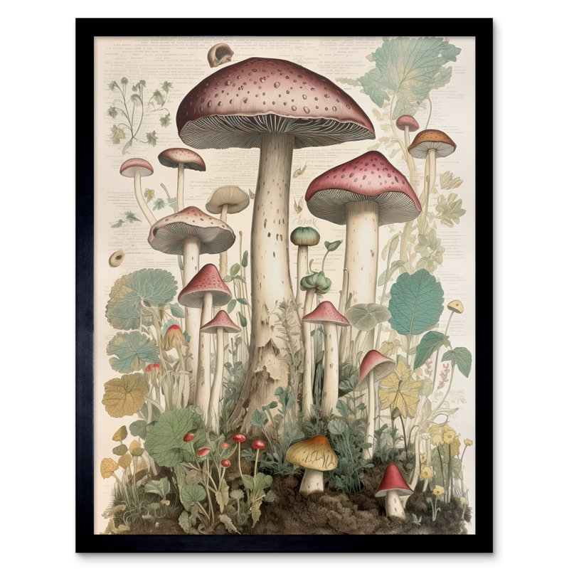 Alely Mushroom Fungi Botanical Vintage - Single Picture Frame Print