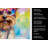 Yorkshire Terrier Hippie Dawg Kitchen Towel