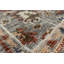 Oriental Area Rug in Gray
