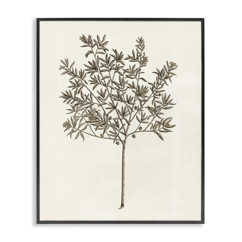 Giclée encadrée vintage, étude par Phillipa Katz, H 14 po x l 11 po, Giclée encadrée noir minuit