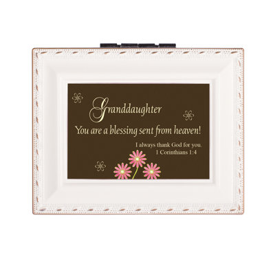 Plastic Memory Box