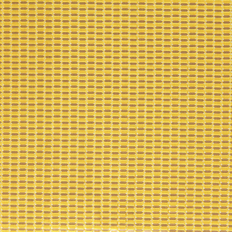 Domino Trellis Fabric, Tigers Eye