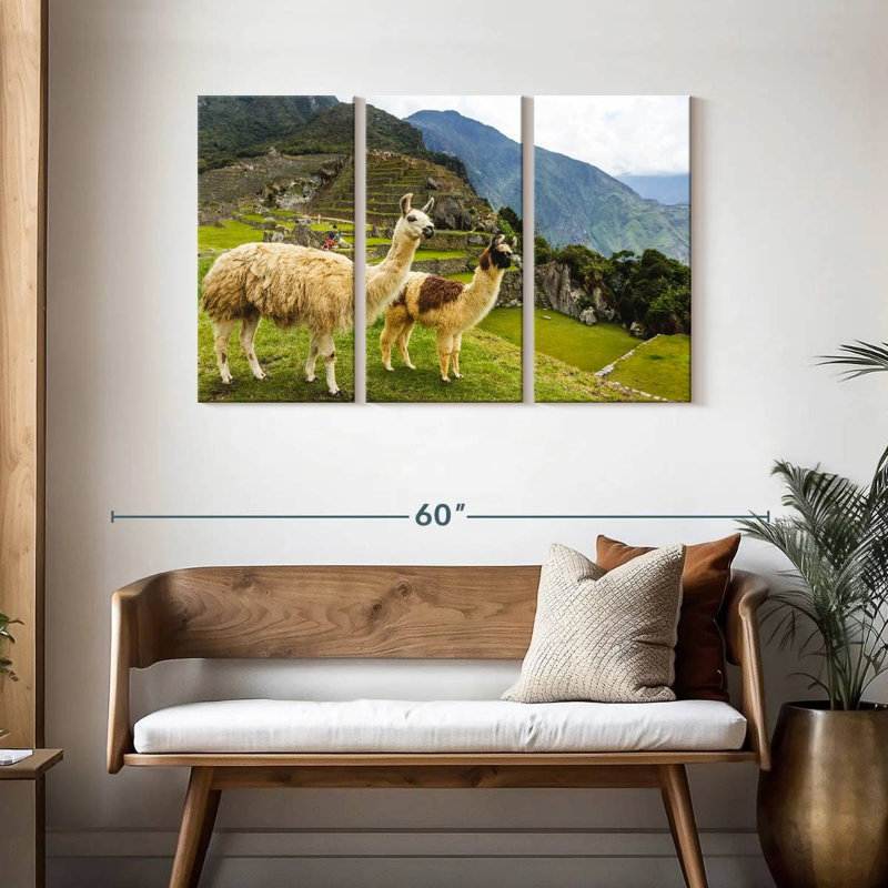 Lamas du Machu Picchu, H 28 po x l 45 po