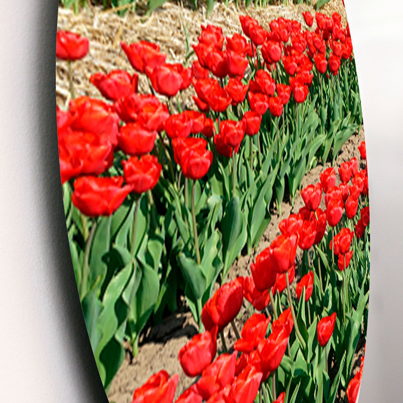 Plants & Flowers Wall Decor