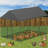Durtschi Chicken Coop-498924565