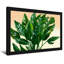 Plantes et fleurs, feuilles de plantes tropicales, motif de feuillage vert-722147814-722147809-722147819