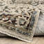 Tapis beige / multicolore à médaillon traditionnel Elizabeth-528209711