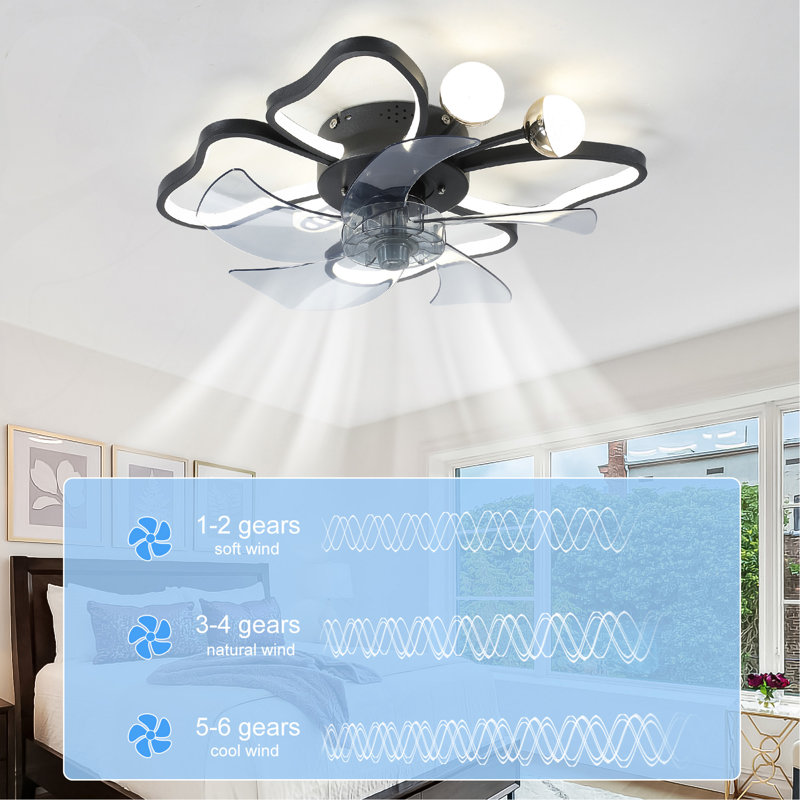 Ventilateur de plafond moderne à télécommande de 19,7 pouces avec lumières avec style papillon