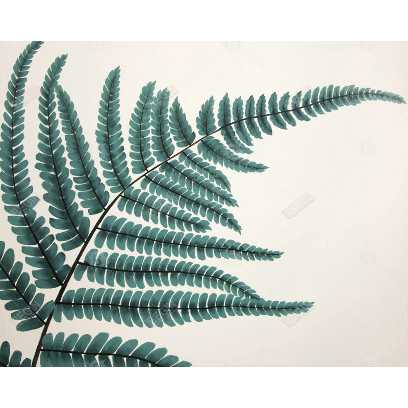 Fern - Botanical Livingroom Framed Canvas for Home Decor