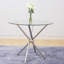Galghard Tempered Glass Indoor Dining Table