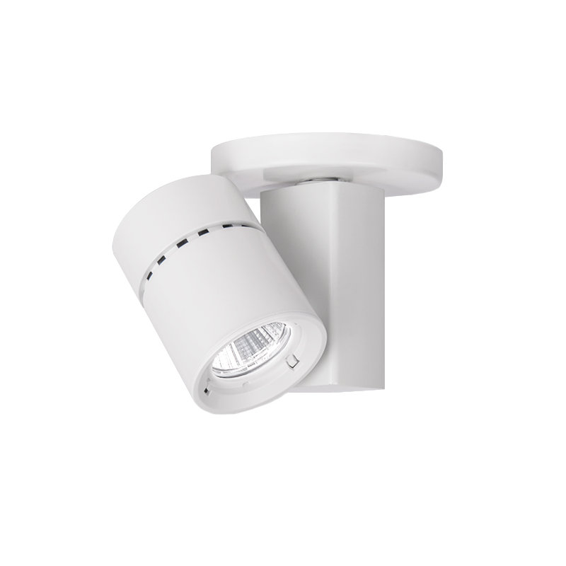 Exterminator II Track Head, 4000K/85, Narrow, White