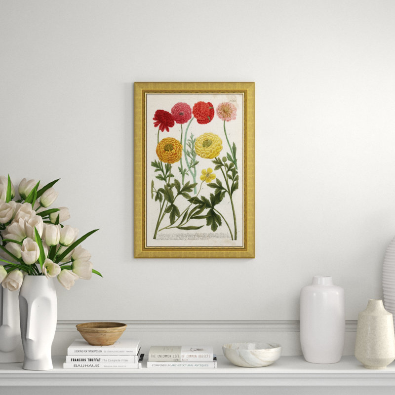 Weiman Ranunculous Giclee Print