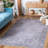 Serapi Performance Machine Washable Oriental Rug-877531172