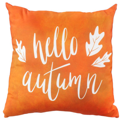 Seasonal Pillows Square Pillow Cover & Insert