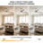 Avamaria 52'' Ceiling Fan with LED Lights-737889649